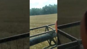 Пожар в поле. Торум 750.  Ростовская об.