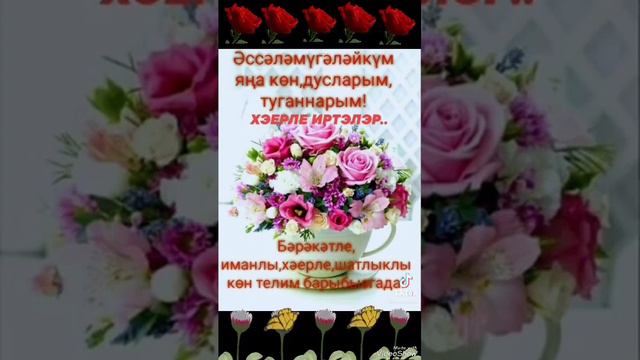 Парлы толымнар смотреть онлайн