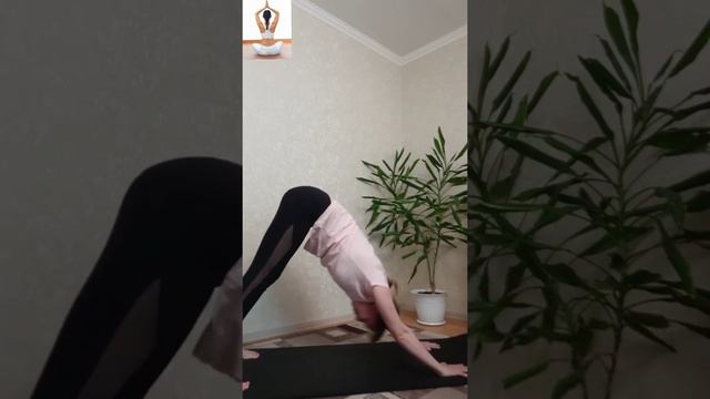 Утренняя зарядка. 25. Упражнения на растяжение и силу ног . смотреть онлайн