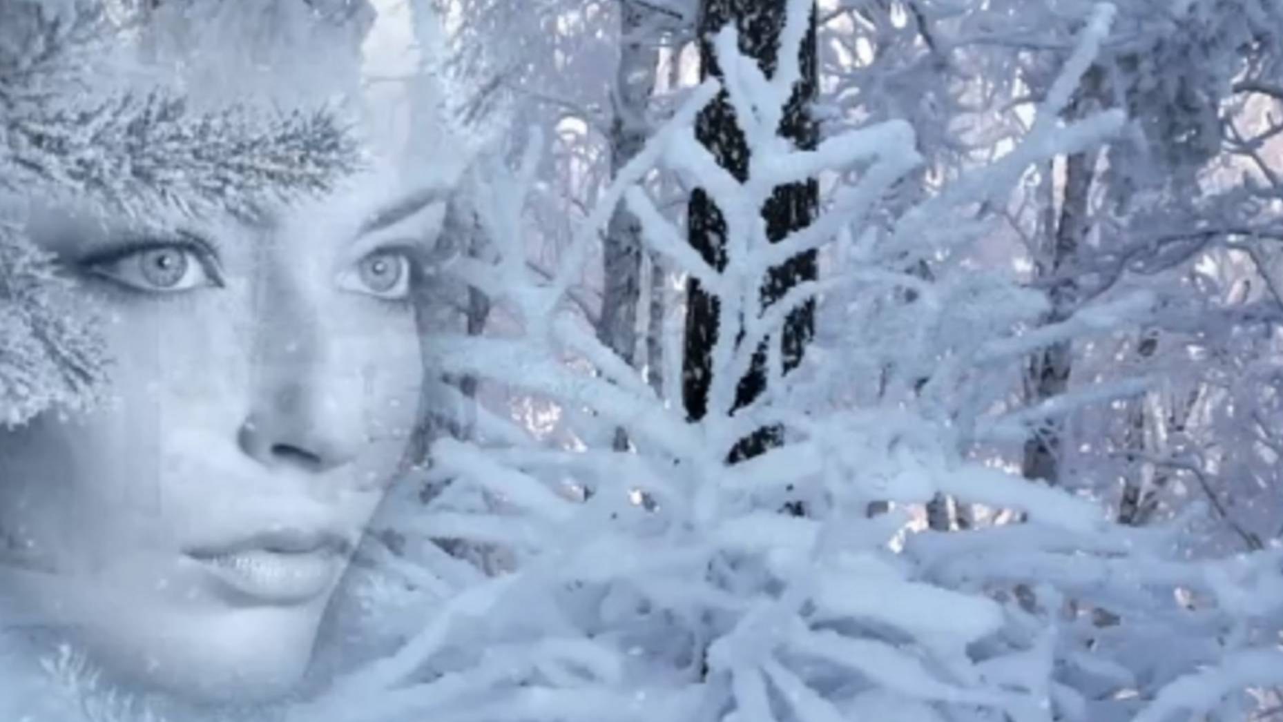 Январские Этюды