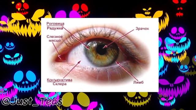 Реакция на сьюх №6 . Сьюхи в 2023 году или рофл? смотреть онлайн