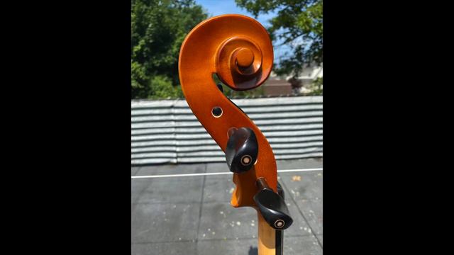 Bellafina Cello (Used) смотреть онлайн