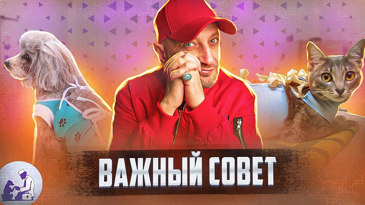 Ответы на вопросы из соцсетей смотреть онлайн