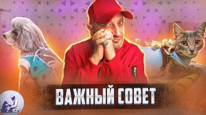 Ответы на вопросы из соцсетей