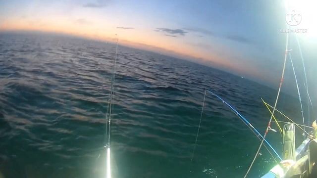 Рыбалка на кальмара сезон 2022 смотреть онлайн