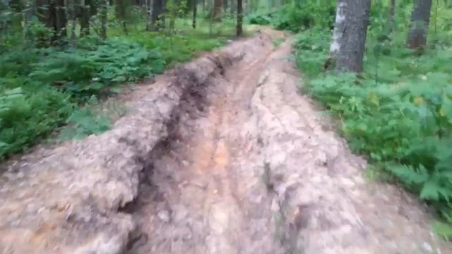 Тихая охота! По грибы по ягоды в деревню! смотреть онлайн