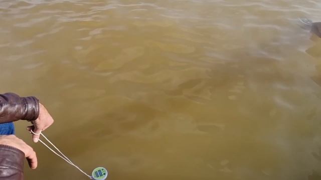 Горячий источник ,Счастливцево! смотреть онлайн
