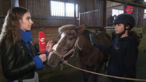 Верховая езда - спорт и модное хобби