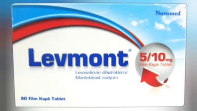 Levmont Nedir? Ne Işe Yarar?