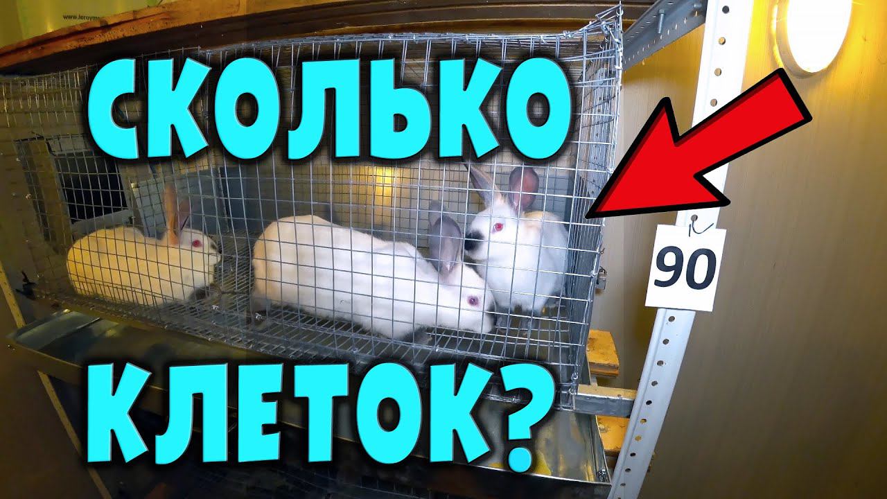 Сколько нужно клеток для кроликов? смотреть онлайн