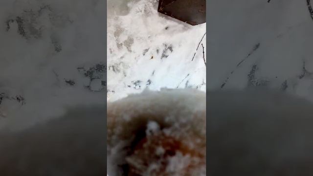 Рыбалка на Тойме(2) смотреть онлайн