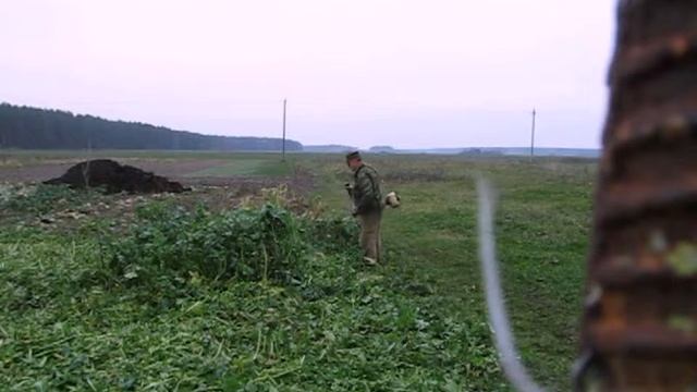 Косьба сидератов. смотреть онлайн