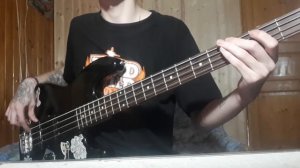 Кино - В наших глазах (Bass cover)