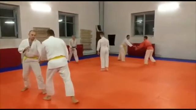 Айкидо айкикай в Лесозаводске. Старшая Группа. смотреть онлайн