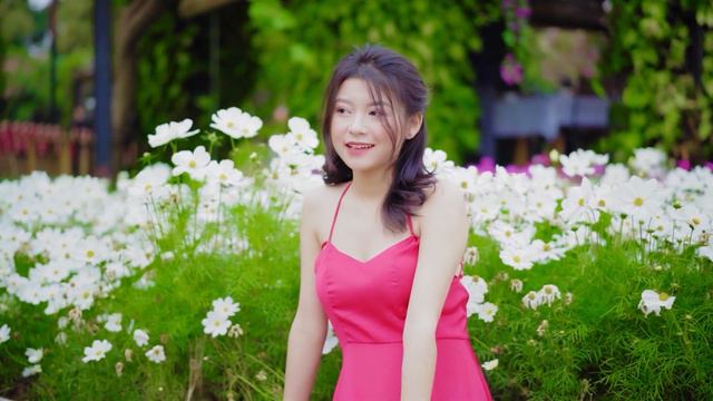 Can't Help Falling In Love Saxophone Mp3 Download 🎷146 Top 50 saxophone Guitar music saxophone смотреть онлайн