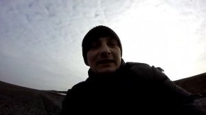 Ловлю бродячую собаку!Бездомная собака!Как поймать!