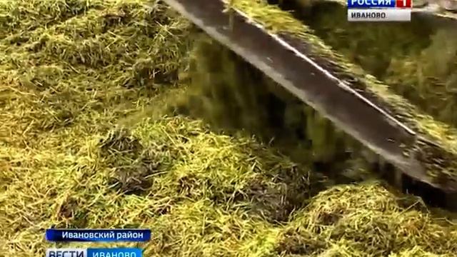 ЧС В СЕЛЬСКОМ ХОЗЯЙСТВЕ РЕГИОНА смотреть онлайн