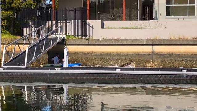 Эти Животные ЗВАЛИ на ПОМОЩЬ! Попробуй НЕ ЗАПЛАКАТЬ и Спасение животных! смотреть онлайн