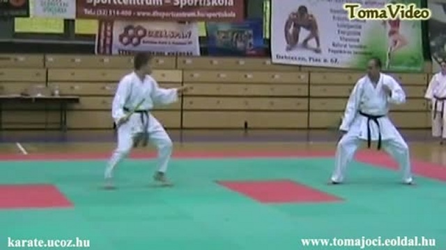 Hayashi-ha Shito-ryu Karate Self-defense