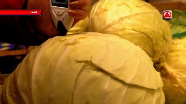 Вызов принят 24.11.2020