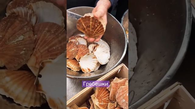 #морепродукты #ресторан #restaurant #блюдо #fish #рыба #десерт #мясо #гребешок смотреть онлайн