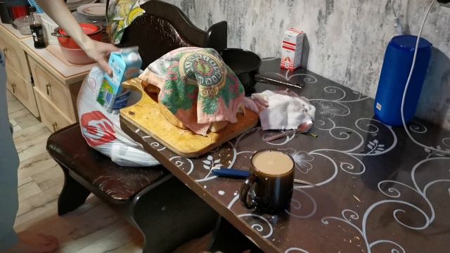 VLOG: 🔥очень сильный ветер/воспитываю Котю/прогулка с Дафиком