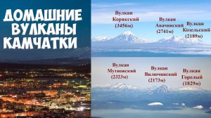 Домашние вулканы Камчатки - Авачинский, Корякский, Козельский, Вилючинский, Горелый
