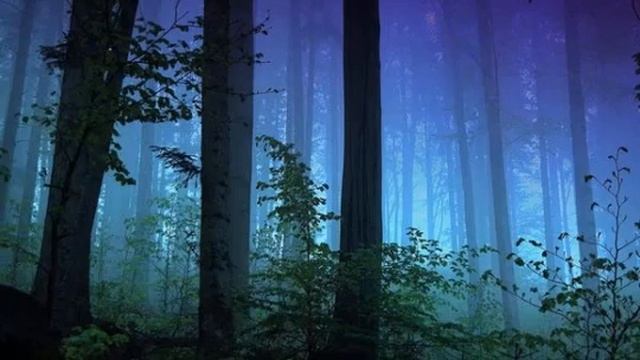 Cлушать как Соловей Поет в Ночном Лесу 1 час смотреть онлайн