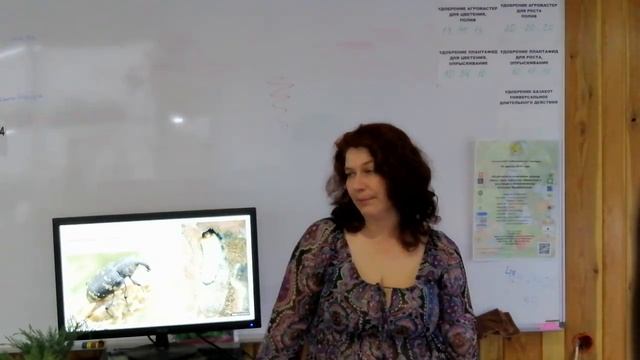 Лекция по хвойным растениям