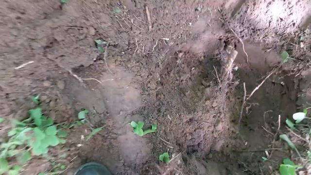 СКАРБ СРІБЛА!!! EQUINOX окупився двічі! КЛАД! #УкраїнськіКопачі #minelab #equinox800 смотреть онлайн