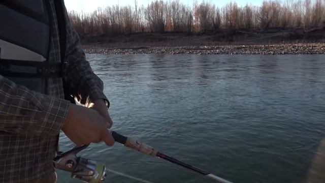 Рыбалка на притоке Алдана. Горная речка Кэлэ смотреть онлайн