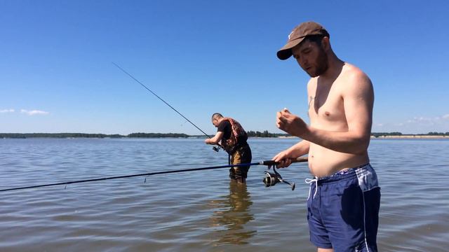 Ловим окуня. Поклевка с каждым забросом. Окуневые хроники. смотреть онлайн