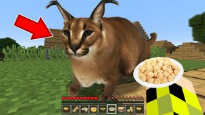 Я призвал ШЛЁПУ в своем мире в майнкрафт ! Как призвать FLOPPA MINECRAFT SCP