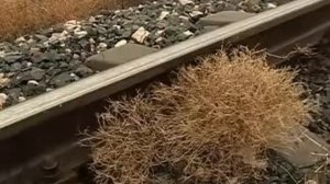 KAP JAR Капустин Яр площадка 107