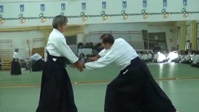 Yasunari Kitaura Shihan - Madrid 2009 смотреть онлайн