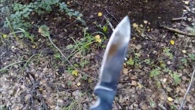 #ГРИБЫ, #ЛЕС, #ШАТУРА, #СВИНУШКИ смотреть онлайн