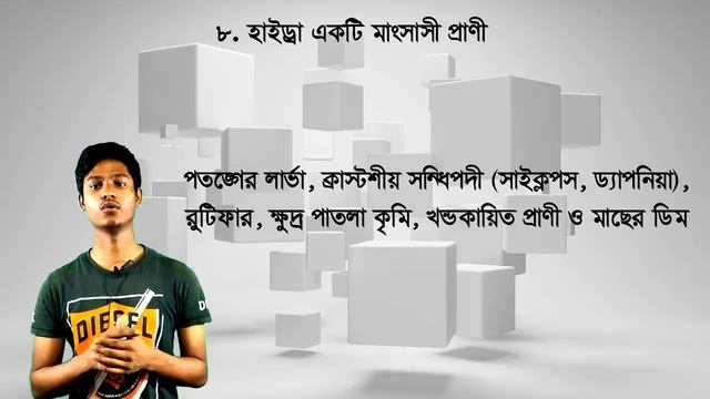 Hydra | Class-1| Animated class admission pathshala Bangla class смотреть онлайн