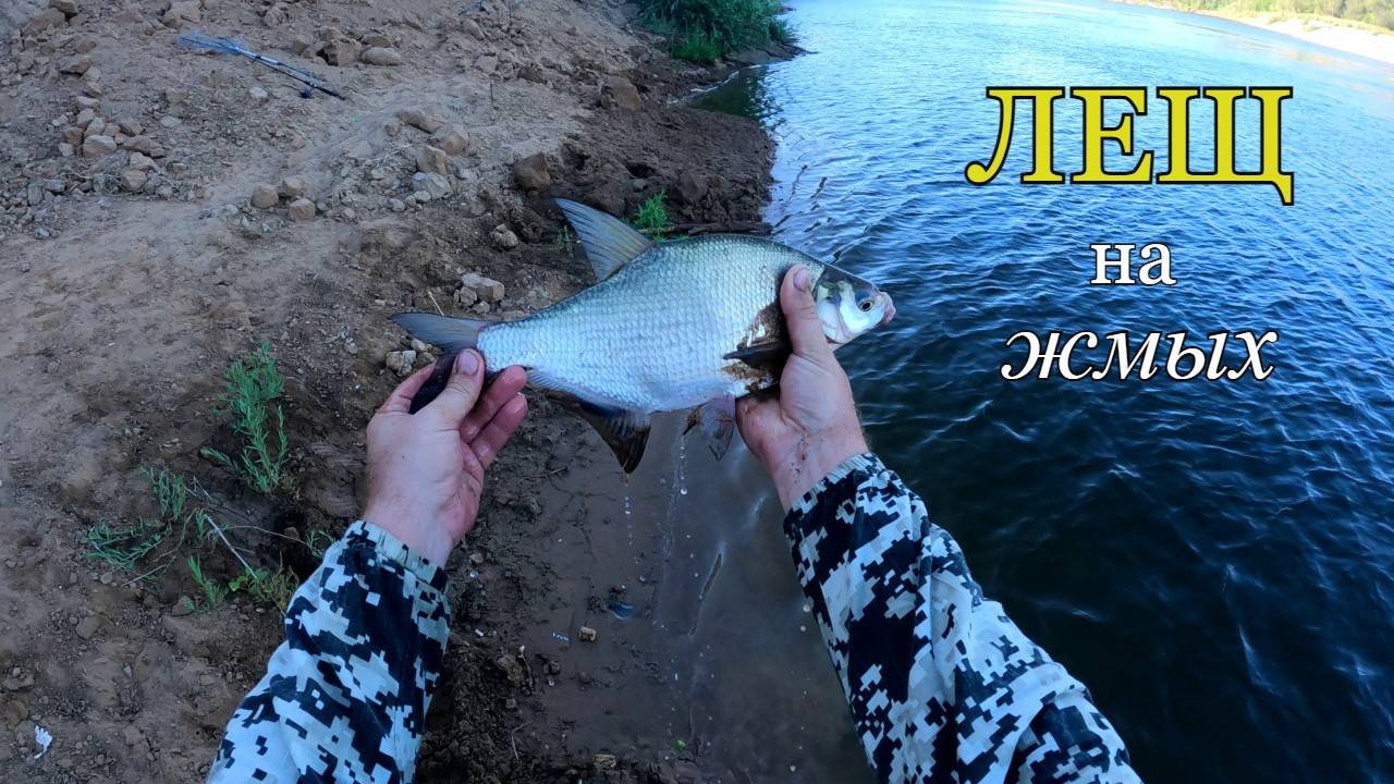 Ловлю ЛЕЩА на жмых с подсадкой кукурузы смотреть онлайн