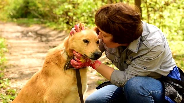 Нильс и Рич ждут своих хозяев смотреть онлайн