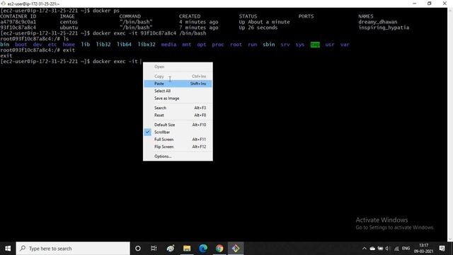 Docker - Basic commands смотреть онлайн