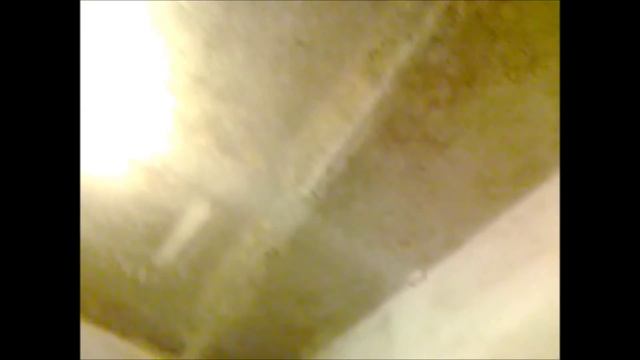 Плесень в доме 2013 смотреть онлайн