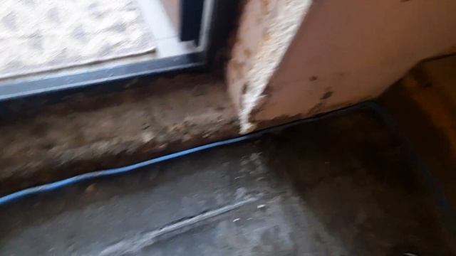 4 часть про ремонт кухни #рекомендации #снежок #хочуврек #видео #subscribe #кухня #Молля #ремонт .. смотреть онлайн