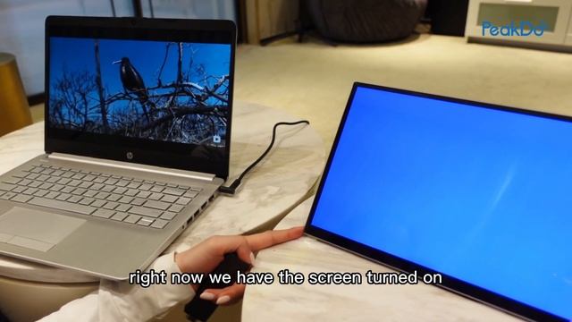 Amazing Unboxing Video for PeakDo 14-inch Wireless Portable Monitor Touchscreen！ смотреть онлайн