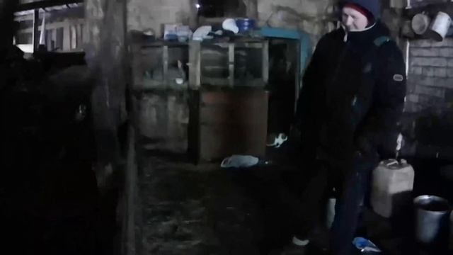 Отелилась корова // Что за беда, температура у Зорьки!? // ЛПХ-Кирсановы смотреть онлайн