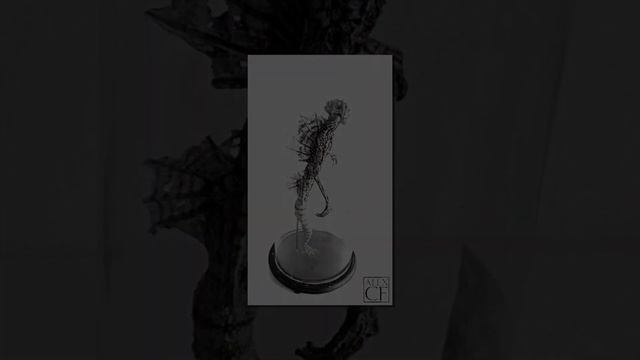 Смотри и думай ...История 197...Музей криптидов Томаса Мерлина...Водный гоминид...Aquatic hominid.. смотреть онлайн