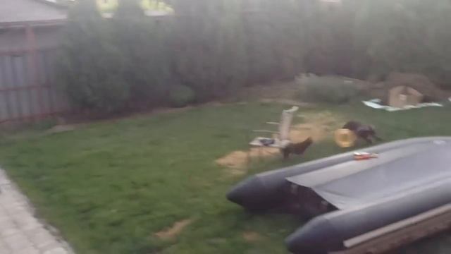 Укрепляем дно лодки из пвх  Polar Bird | Обзор покупок для отдыха на природе | курцхаар