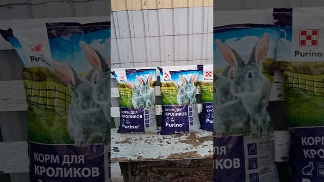 Пурина самый лучший комбикорм с кокцидиостатиками на котором ростут Кролики. Мешки по 10 кг смотреть онлайн
