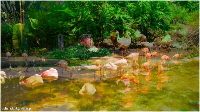 Richard Clayderman greatest hits album | Piano melodies gentle, beautiful nature 4K смотреть онлайн