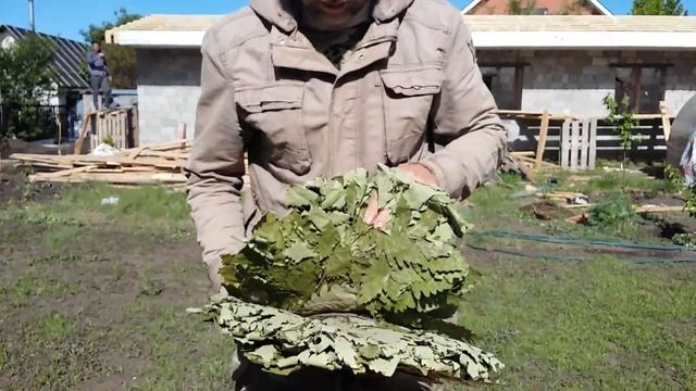 Обзор Кавказского Богатырского дубового веника