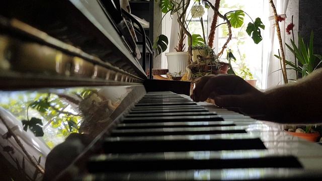 Лев Подгорный